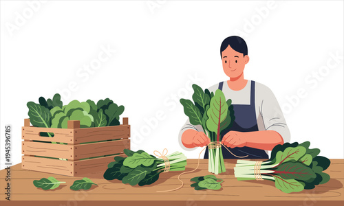 Farmer Tying Fresh Leafy Vegetable Bundles