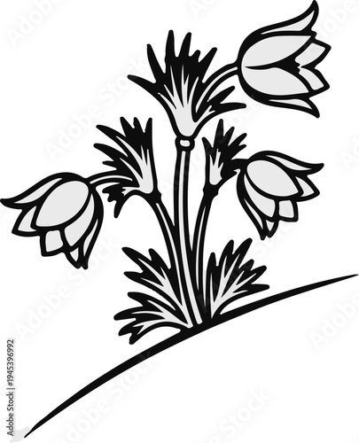 Stylized illustration of a flowering plant with closed buds and pointed leaves