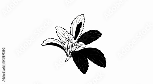Stylized black and white illustration of leaves on a stem