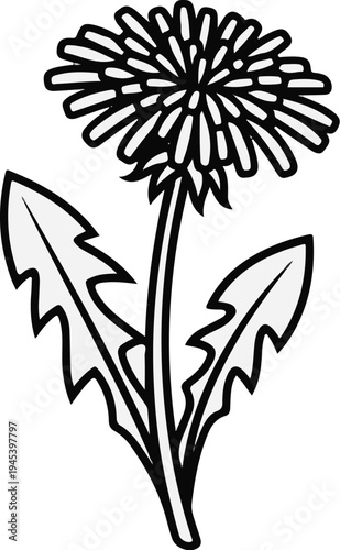 Stylized outline illustration of a single dandelion with serrated leaves and a seed head