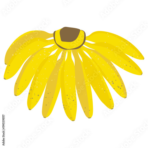 Bright yellow ripe baby banana bunch with natural speckles, tropical fruit vector illustration