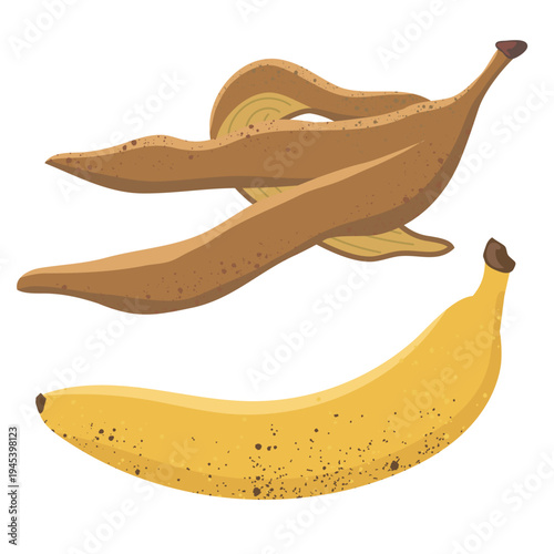 Brown overripe banana peels with a ripe banana fruit, isolated cartoon vector illustration
