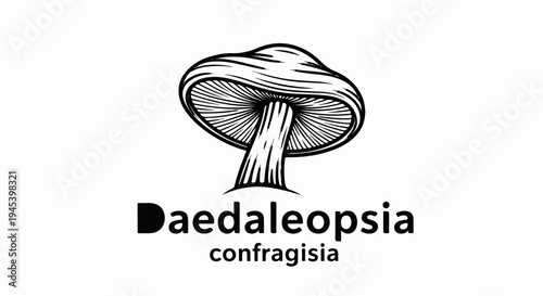 Stylized illustration of a mushroom with scientific name below