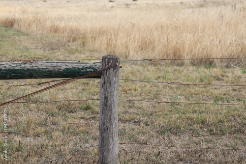 Billede på lærred old wooden fence in farm field