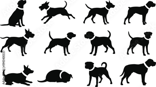 Black vector silhouette set of various dog breeds in different poses including sitting standing running and lying down isolated on white background for design.