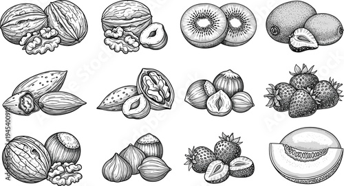 Walnuts almonds hazelnuts kiwi strawberries cantaloupe illustration, black and white fruit nut drawing, healthy food artwork, botanical culinary design