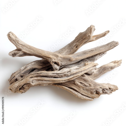 Driftwood pieces arranged on a white background, showcasing the natural shapes and textures found in wood