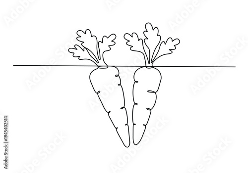 A single, elongated orange vegetable with green leafy stems and a smooth texture against black carrot vector illustration