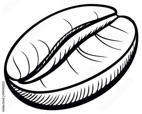 Illustration of a coffee bean, black and white outline