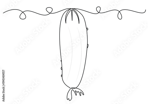 Continuous one line art a cucumber vector illustration