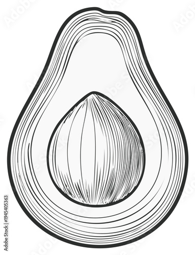 Avocado halves cross section drawing illustration food concept ingredient