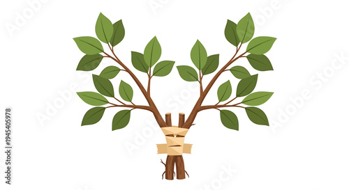 Bandaged Tree With Green Leaves Illustration. Vector Illustrations. EPS Editable