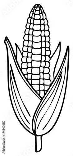 Black and White Line Art Illustration of an Ear of Corn with Leaves