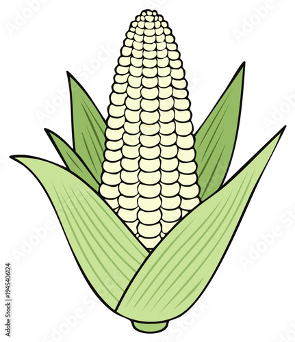 Cartoon Corn on the Cob with Green Leaves