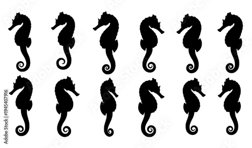 Seahorse silhouette vector set isolated on white background marine animal icon collection