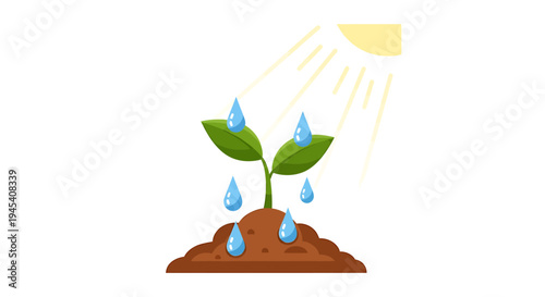 Young Sprout Plant Growing Under Sun. Vector Illustrations. EPS Editable