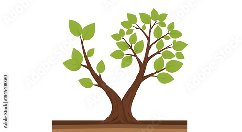 Young Tree with Branches and Green Foliage. Vector Illustrations. EPS Editable