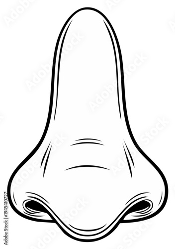 Detailed Line Drawing of a Human Nose Anatomical Illustration