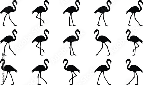Flamingo bird silhouettes set, tropical wildlife walking standing poses, exotic long leg bird vector illustration isolated collection