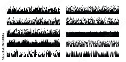 Grass seamless border set, wild lawn silhouettes, botanical strips, meadow edges, reed foliage rows. Garden, landscape, banner, poster, packaging decoration. Vector illustration