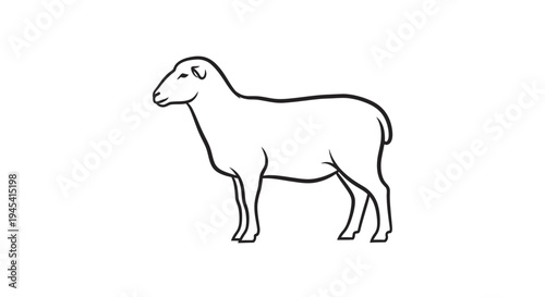 Simple black and white line drawing of a standing sheep in profile, an outline illustration of a farm animal.