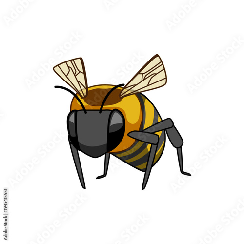 Solitary honeybee insect with yellow and black stripes, transparent wings and dark legs, creating honey as a vital pollinator for the ecosystem and natural environment