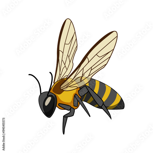 Bee flying with outstretched wings, actively foraging for nectar and pollen, contributing to pollination and honey production, a vital insect symbol of nature and environmental health