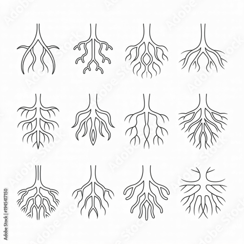 Set of 10 vascular tree icons vector