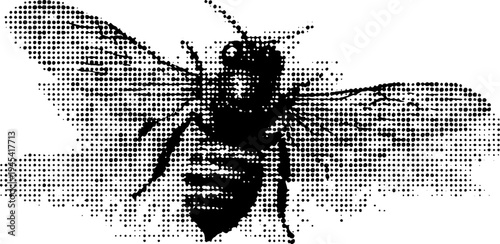 Black and white halftone bee with wings open - vintage insect design for posters