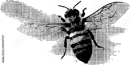 Black and white bee honeycomb icon with halftone effect for vintage design