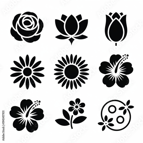 Set of 9 flower icons vector, black and white
