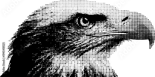 Fierce eagle head in halftone style for vintage design