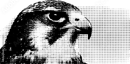 Fierce eagle head in black and white with vintage halftone effect for retro design