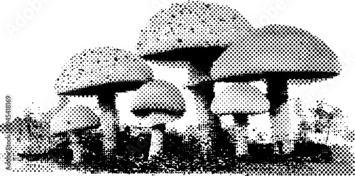 Vintage black and white halftone illustration of forest mushroom cluster