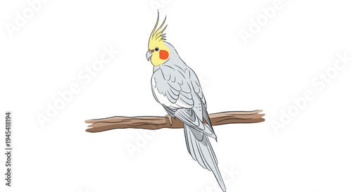 Charming cockatiel bird with a yellow crest and orange cheeks sitting on a thick wooden branch, illustrated in flat vector.