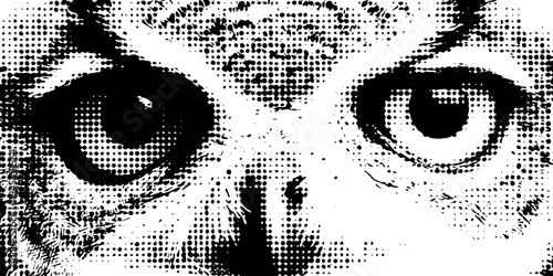 Symmetrical owl face in black and white halftone for vintage art prints