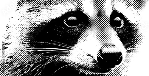 Raccoon masked face in black and white halftone style for vintage design projects