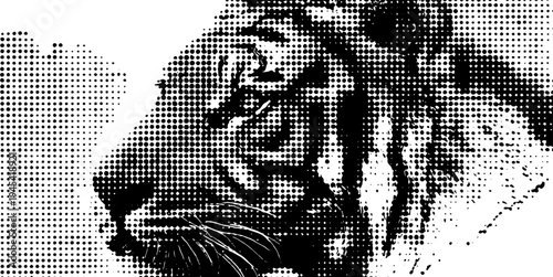 Fierce tiger head side profile in black and white halftone effect for art and design