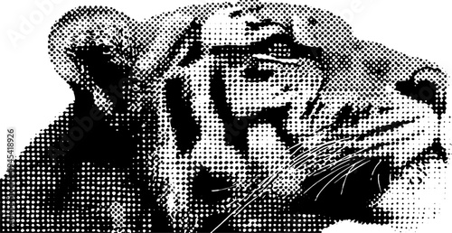 Fierce tiger head in black and white halftone dotwork for artistic designs