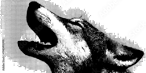 Fierce wolf head growling in black and white halftone art style