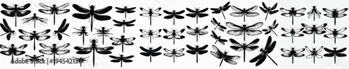 Vector set image silhouette of dragonfly