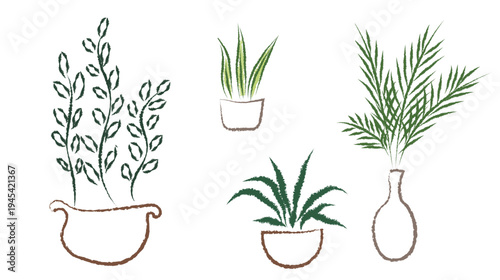 indoor plants