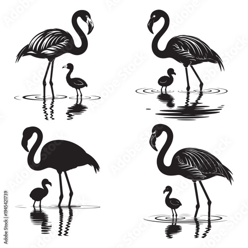 Four black flamingo illustrations with reflections and a baby flamingo a striking silhouette high-quality professional