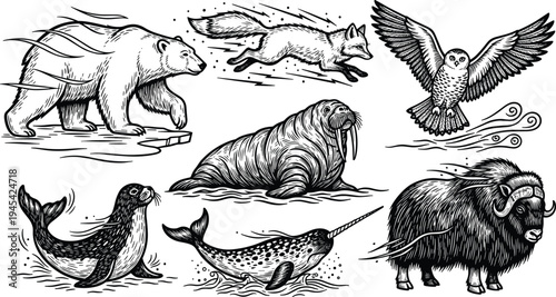 Arctic Wildlife Illustrations in Black and White, Including Bear, Fox, Owl, Seal, Narwhal, and More