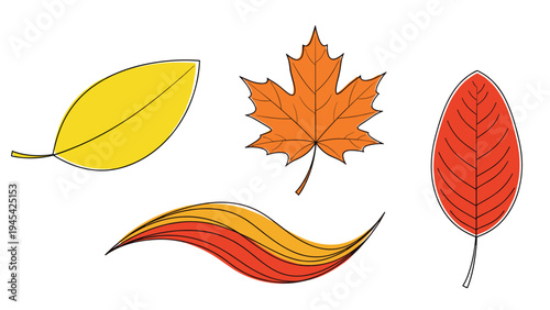 Selection of four different autumn leaves including maple and elm shapes in vibrant yellow and red colors for fall season and nature design elements.
