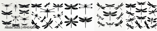 Vector set image silhouette of dragonfly