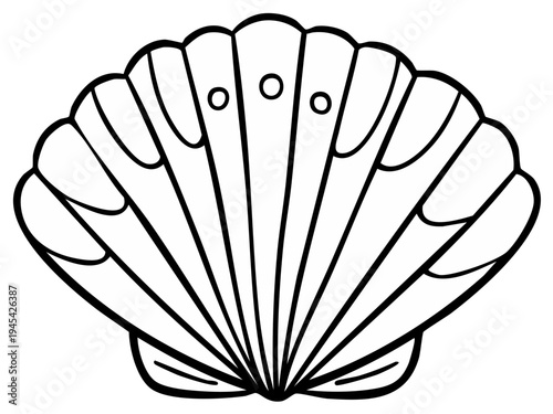 Stylized Outline of a Seashell with Fan Shape and Circular Details