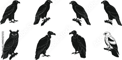 Silhouettes of diverse male and female singers performing on stage with microphones, captured in various dynamic poses and expressions, black and white