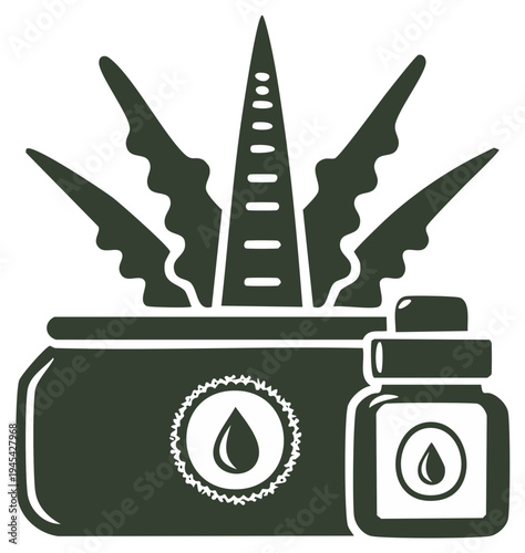 Aloe Vera plant with essential oil bottle and dropper for natural skincare and health remedies