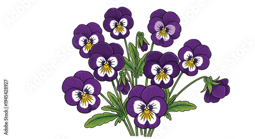 A beautiful hand-drawn botanical illustration showcases a vibrant cluster of purple pansy flowers with striking yellow and white centers, intricately detailed with delicate green leaves, perfect for s